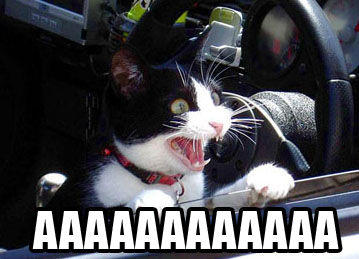 AAAAAAAAAAAAAA!!!!