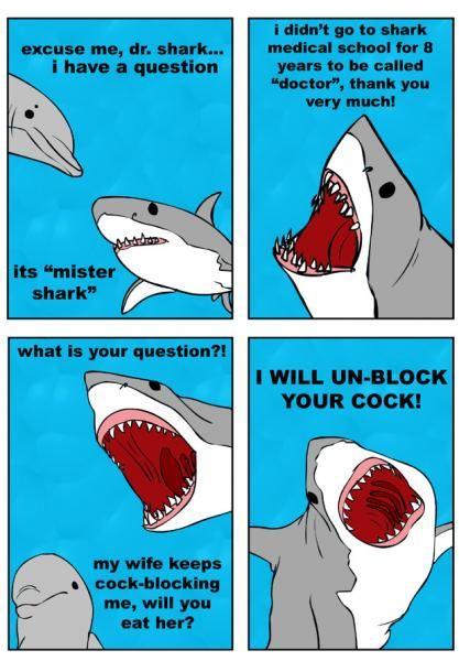 sharkdoctor.jpg