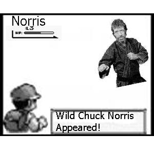Chuck Norris Facts