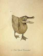 Crocoduck