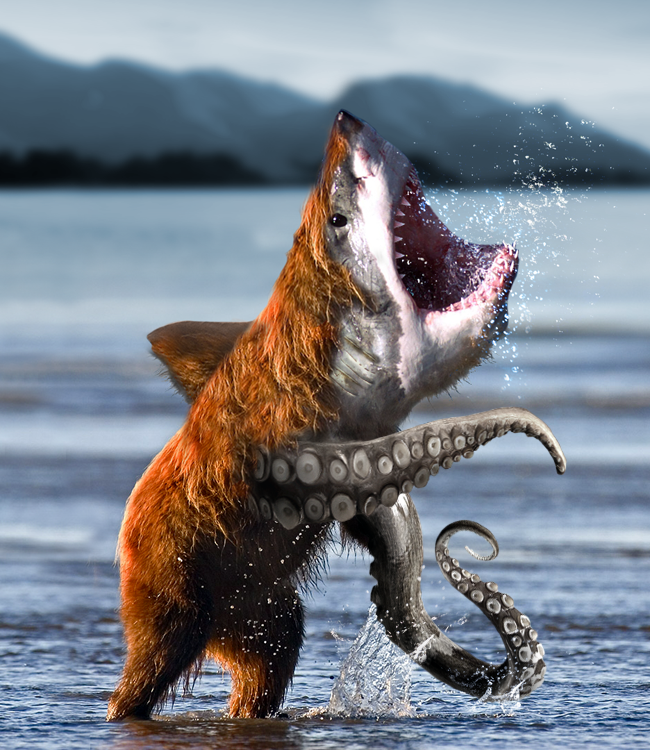 Bearsharktopus