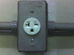 Things With Faces