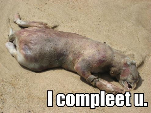 Montauk Monster
