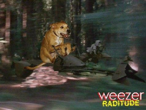 Weezer Raditude Dog 