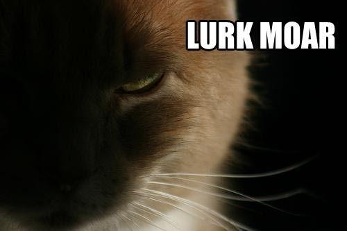 Lurk Moar