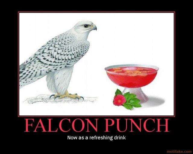 falcon-punch-falcon-punch-drink-demotivational-poster-1232958157.jpg