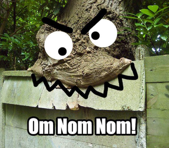 Om Nom Nom Nom