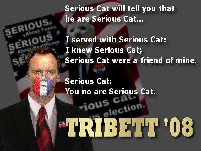 tribettseriouscatmz8.jpg