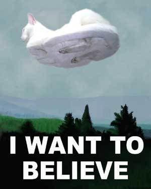hovercat-i-want-to-believe.jpg