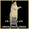 Kitty Cat Dance
