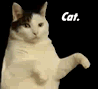 Kitty Cat Dance