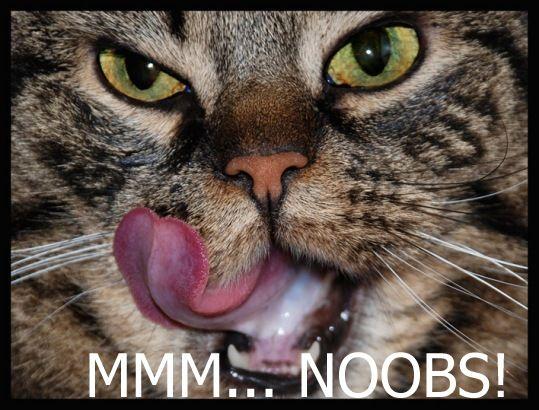 Noob
