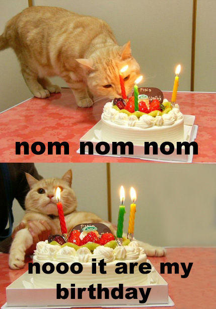 Om Nom Nom Nom