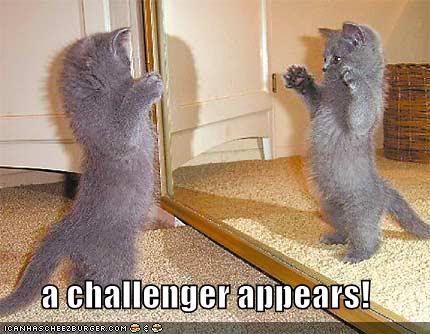 A Challenger Appears