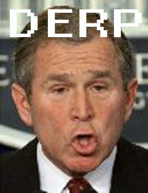 Bush_derp.jpg