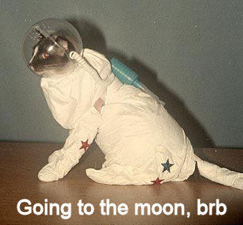 BRB