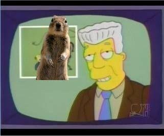 i-for-one-welcome-our-new-squirrel-overlords-28180-1250315294-116.jpg