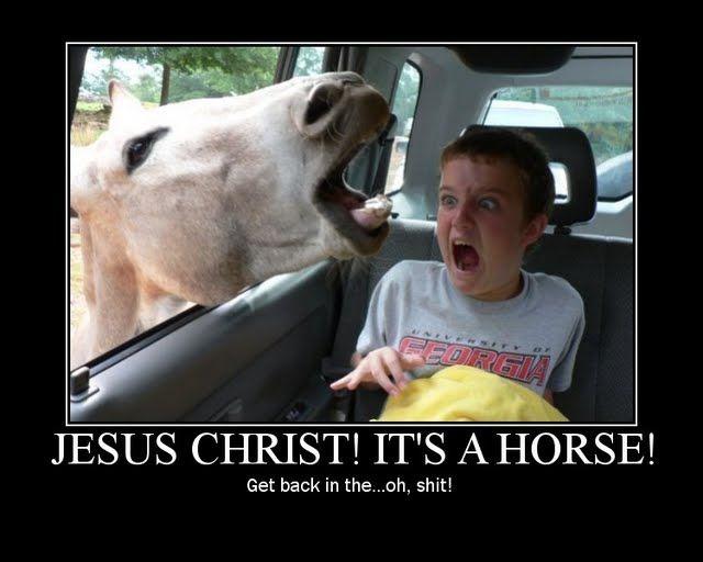 JESUS CHRIST IT'S A LION GET IN THE CAR!