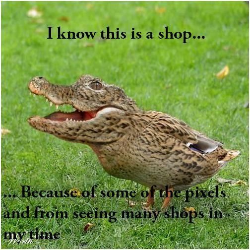 Crocoduck
