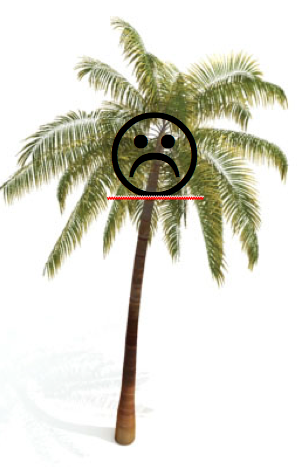 Picture_1.png