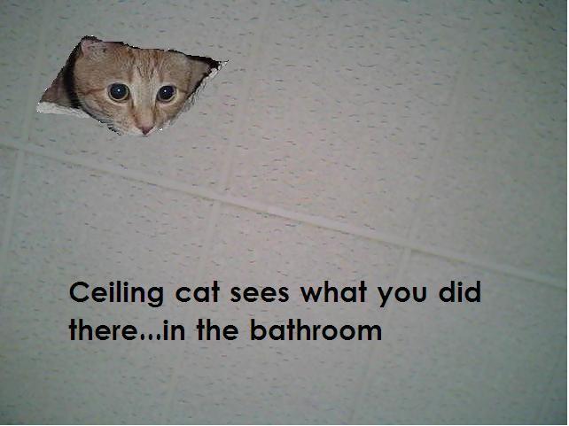 I See What You Did There