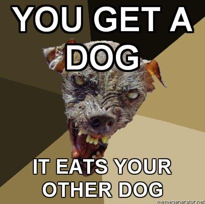 Ugly-Dog-YOU-GET-A-DOG-IT-EATS-YOUR-OTHER-DOG.jpg