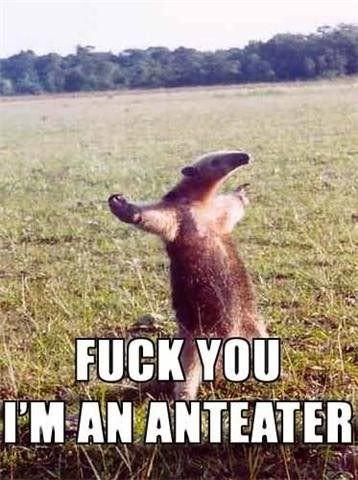 FUCK_YOU_I_AM_AN_ANTEATER.jpg