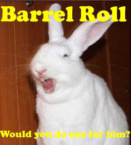 Do A Barrel Roll