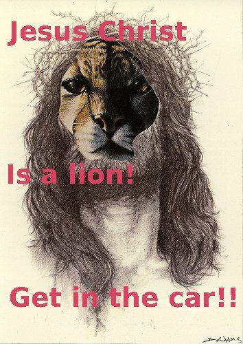 lion.jpg