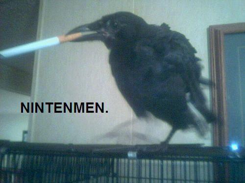 smoking-crow.jpg