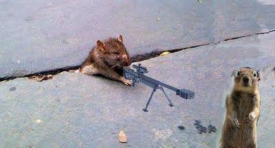 sad_rat_sidewalk_32.jpg