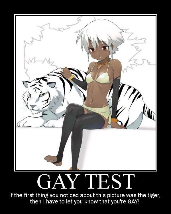 gay-test-motivator-002.jpg