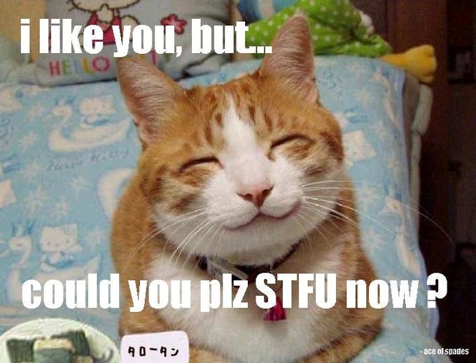 FunnyAnimal10.jpg