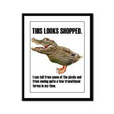 Crocoduck