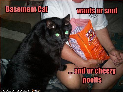 funny-pictures-basement-cat-wants-your-soul-and-your-cheese-snacks.jpg