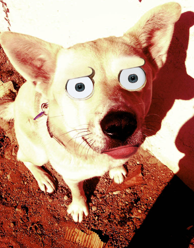 ಠ_ಠ Look of Disapproval