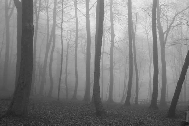 SlenderMan06.jpg