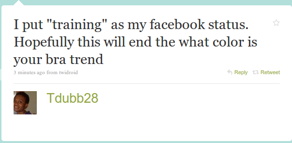twitterbra.png