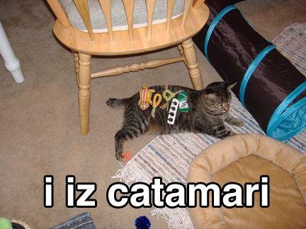 catamari.jpg
