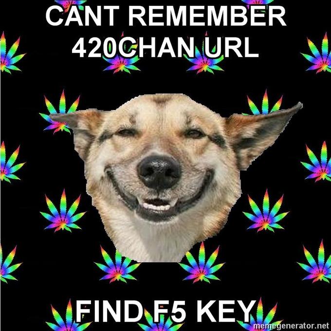 F5