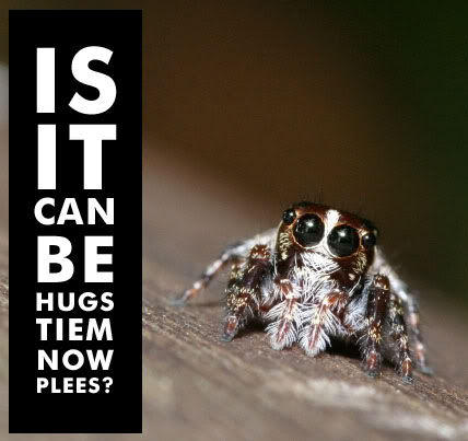 Is_it_can_be_hugs_tiem_now_spider.jpg
