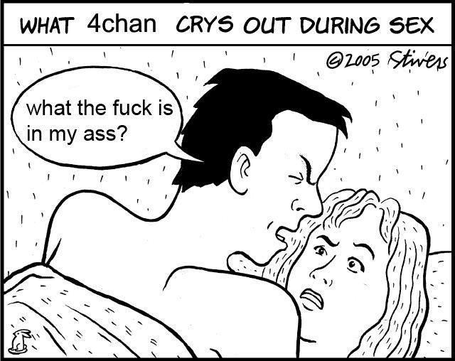 What 4chan Cries Out During Sex