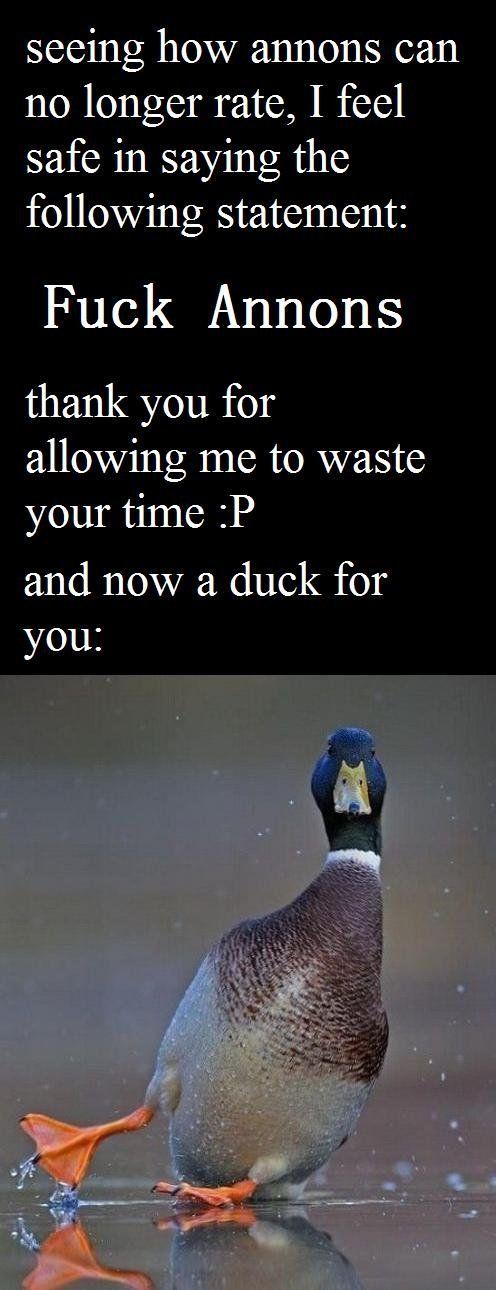 duck4.jpg