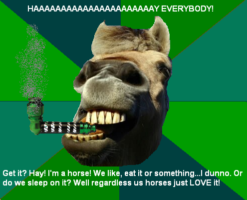 hh.PNG