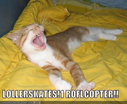 lollerskates1128467207818459776.jpg