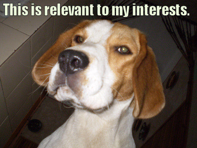 interests.jpg