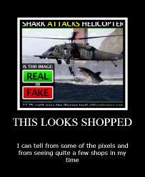 meggashark.png