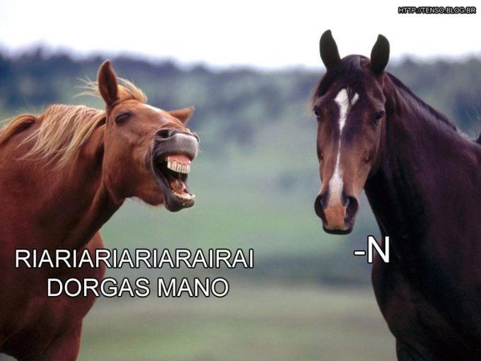 hehe2v.jpg