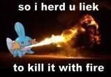 Kill It With Fire