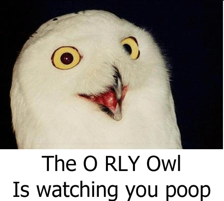 X is Watching You Y